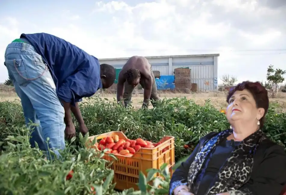 teresa bellanova braccianti migranti pomodori