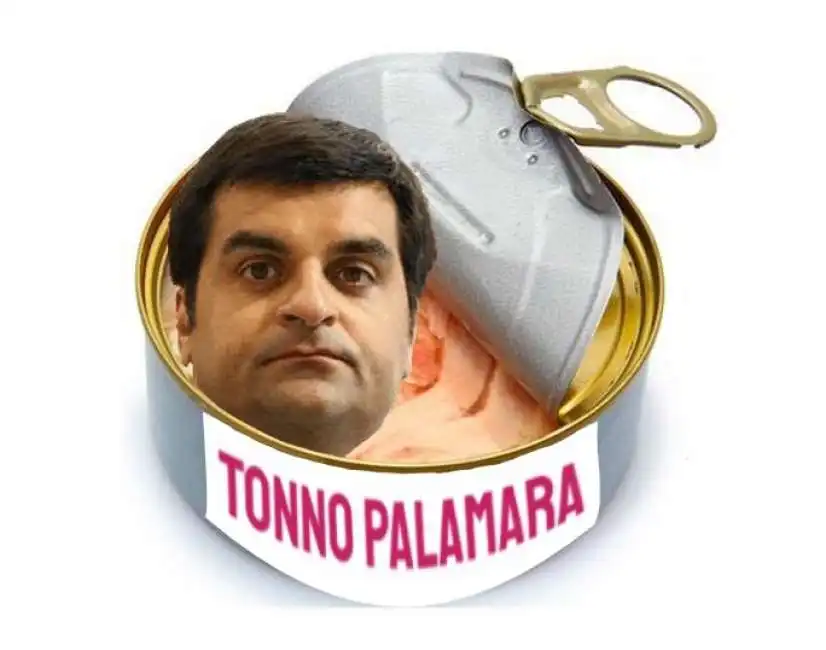 tonno palamara