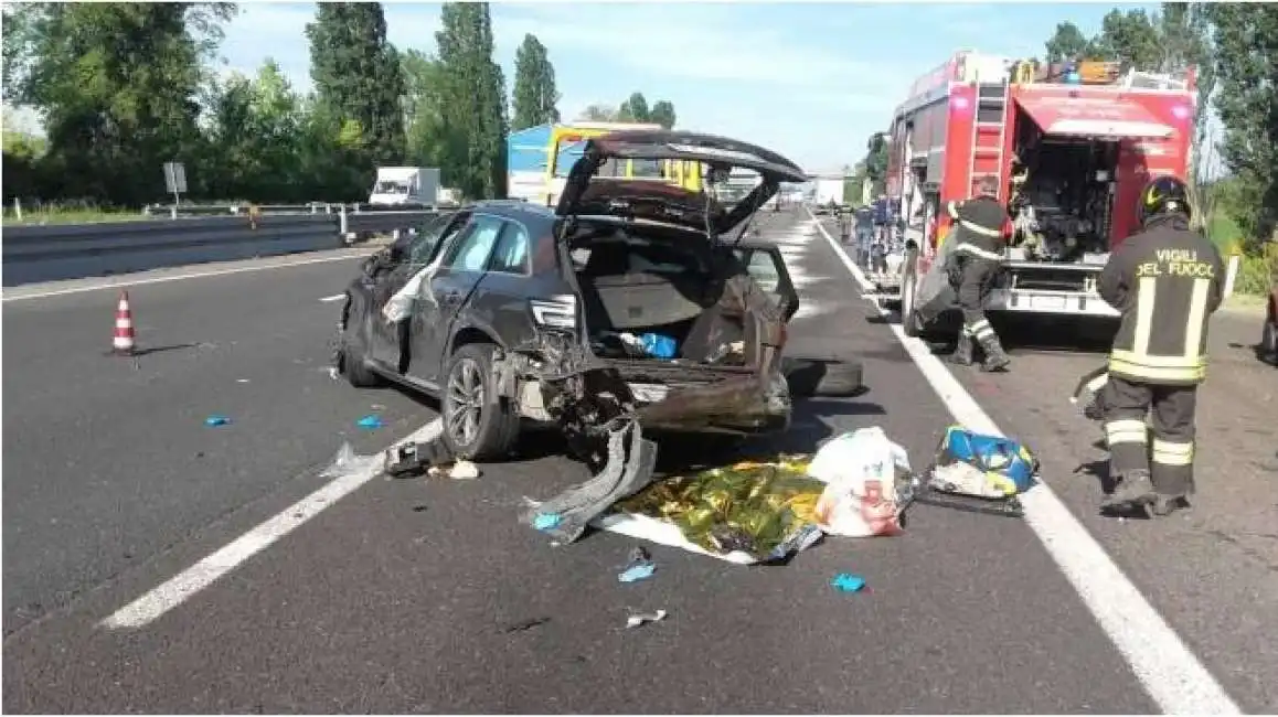 incidente capriolo autostrada