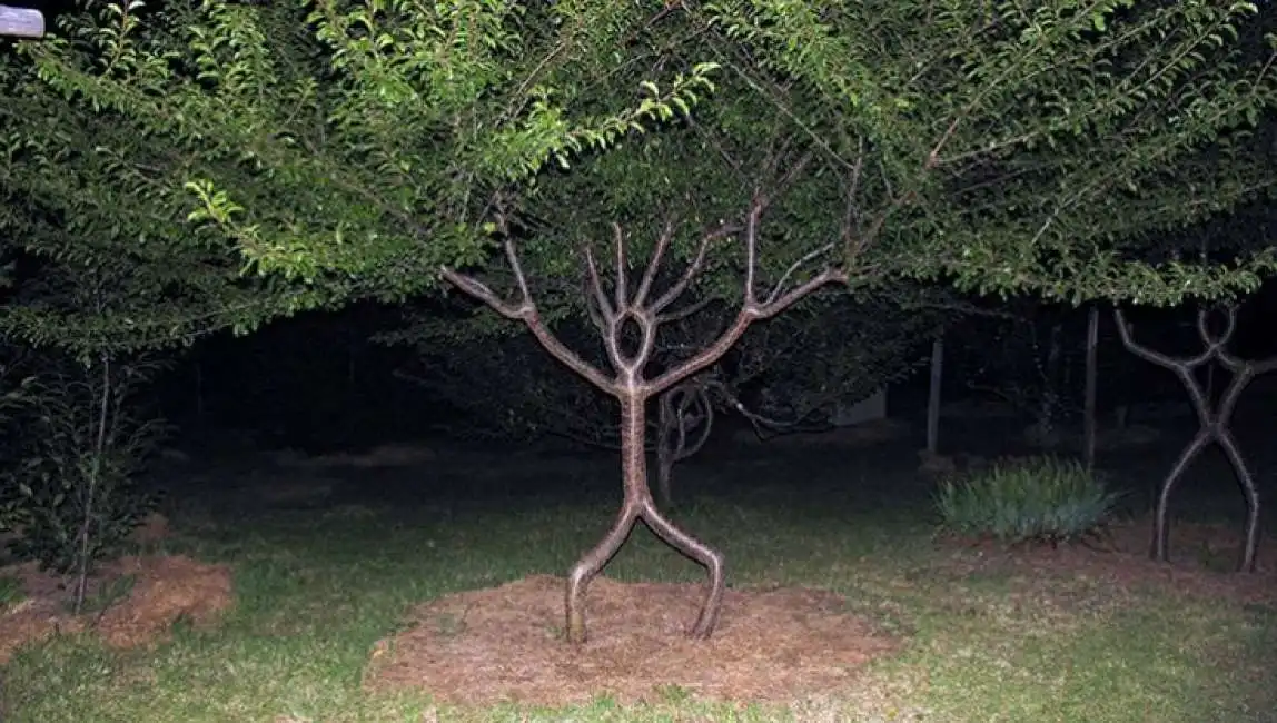 tree shaping