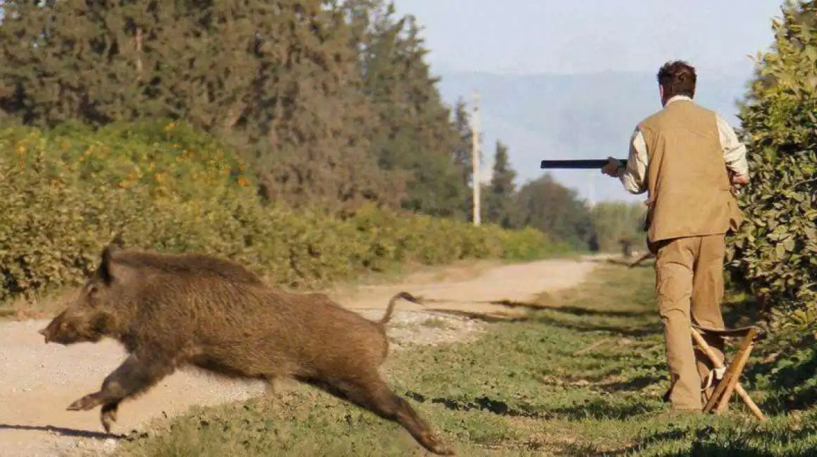 uomo fucile cinghiale 