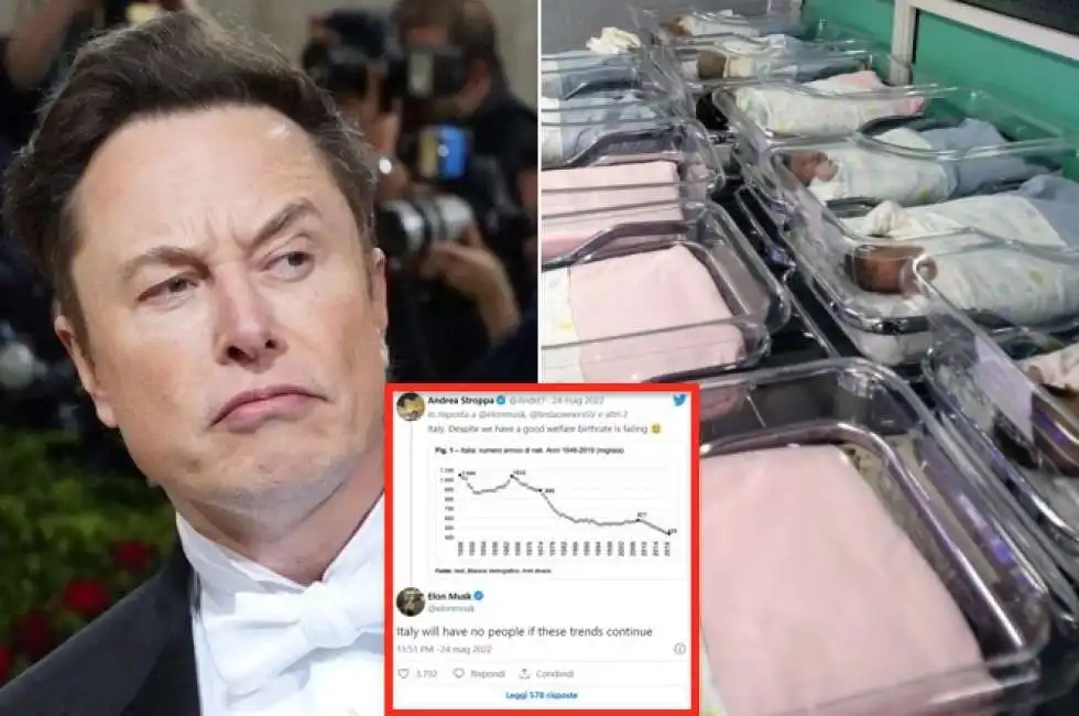 elon musk calo demografico nascite italia 