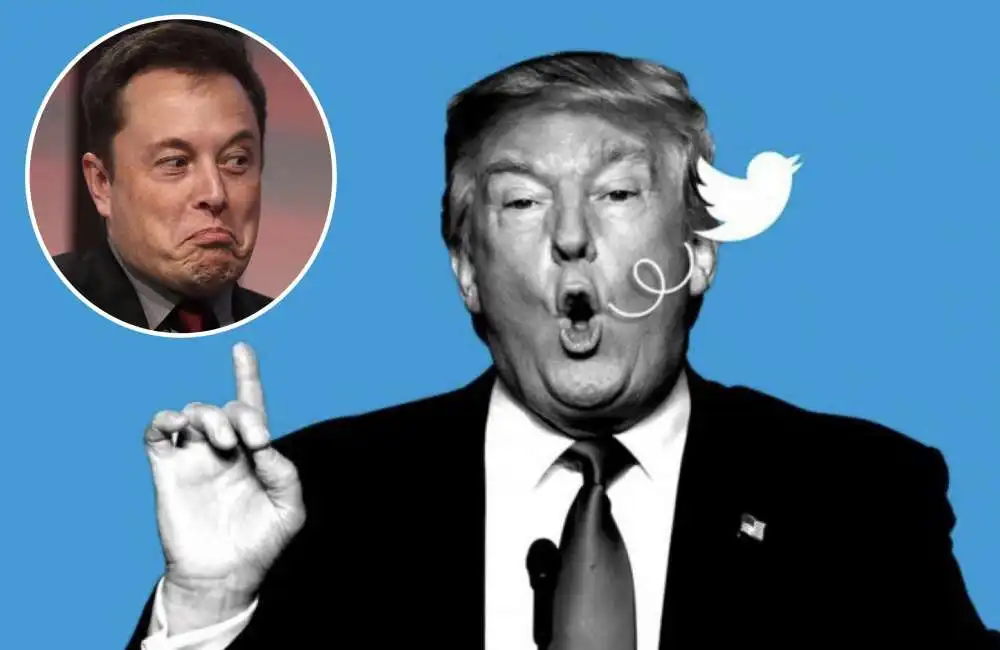 elon musk donald trump twitter