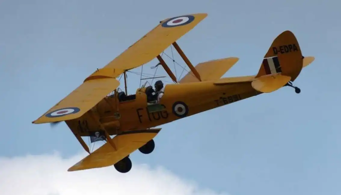 tiger moth