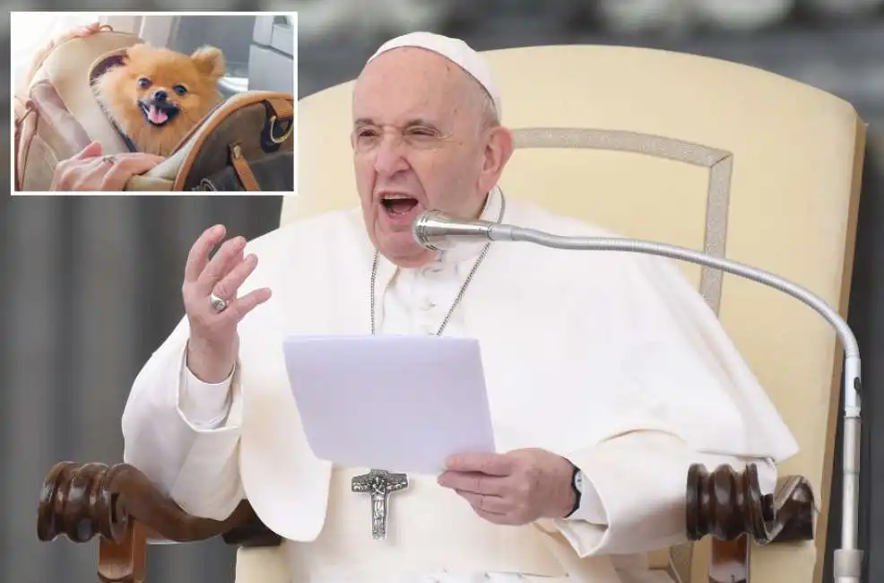 cane cani papa francesco bergoglio 