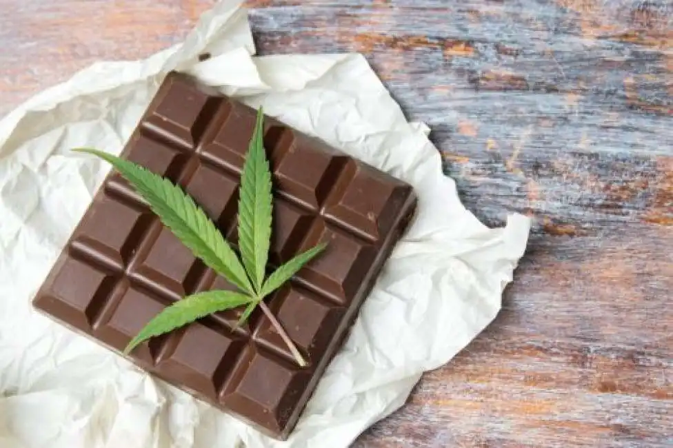 cioccolato alla marijuana 4