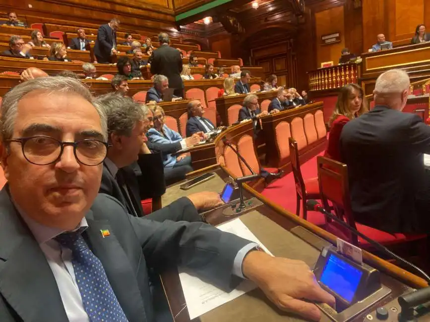 maurizio gasparri in senato