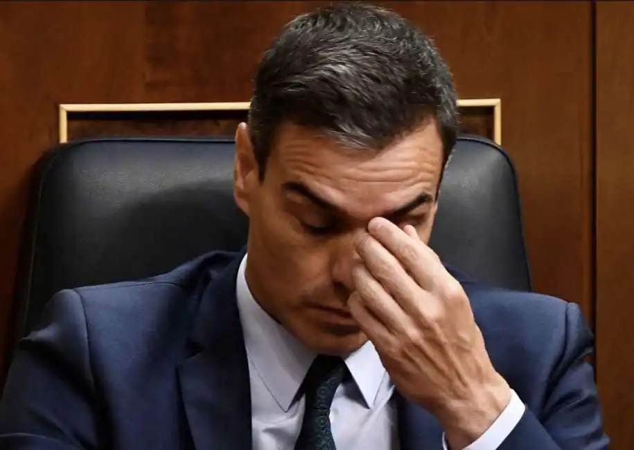 pedro sanchez 