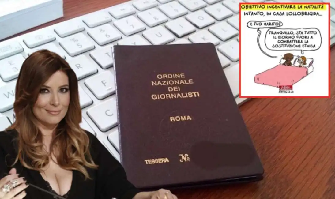 selvaggia lucarelli ordine dei giornalisti natangelo 