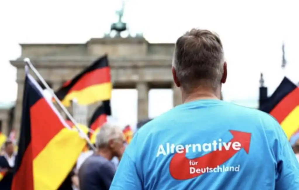 alternative fur deutschland afd