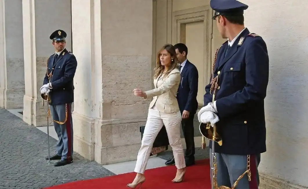 boschi 24