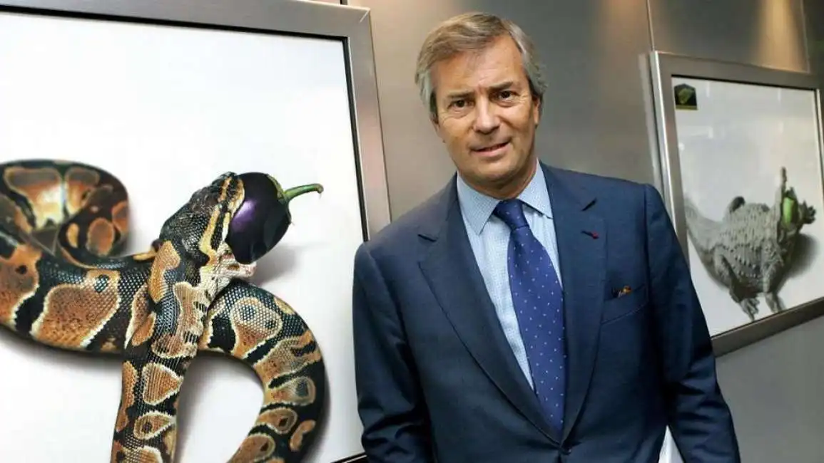 bollore vincent