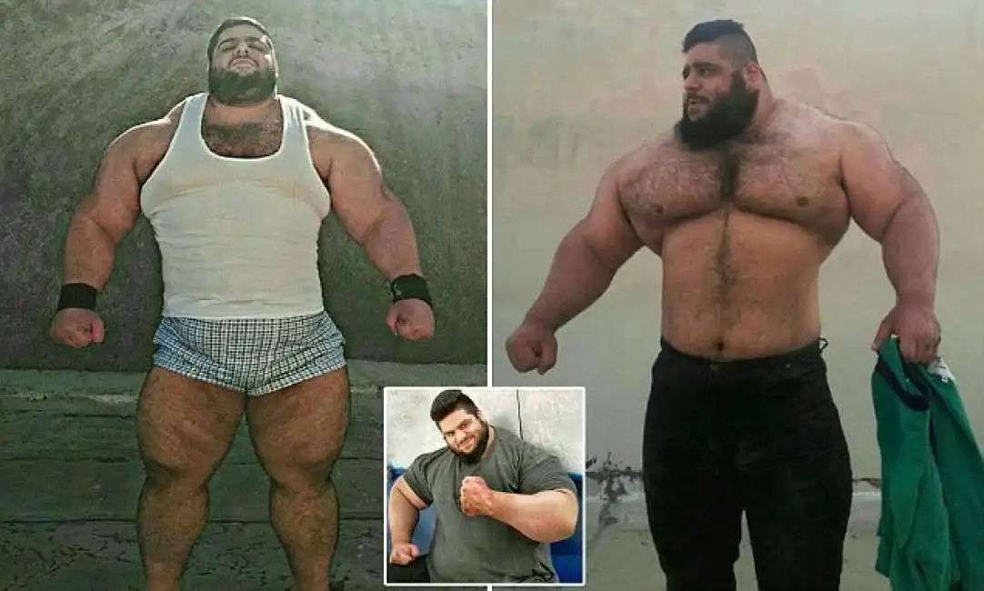 ercole persiano sajad gharibi hulk