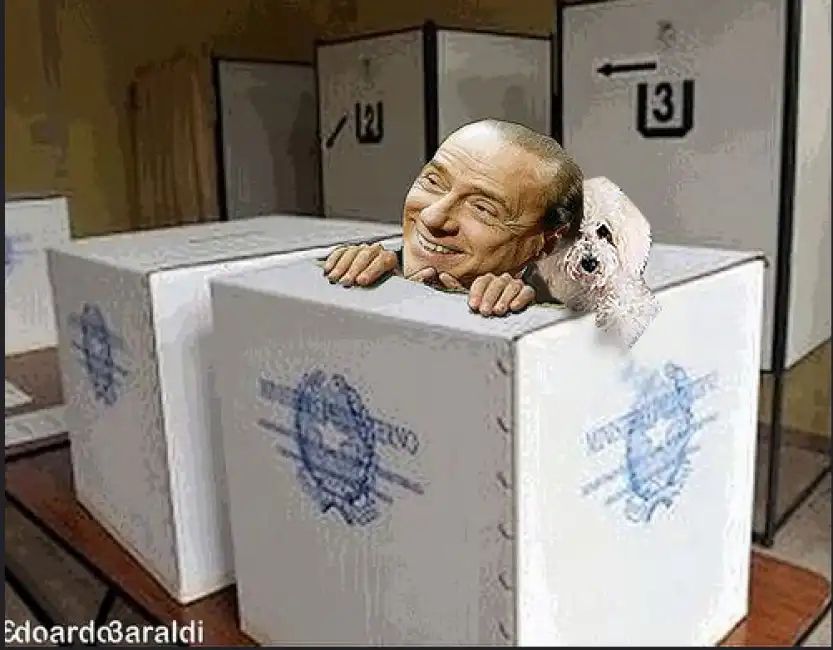 berlusconi elezioni