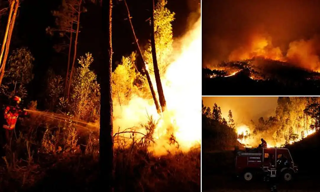 portogallo incendi a pedrogao