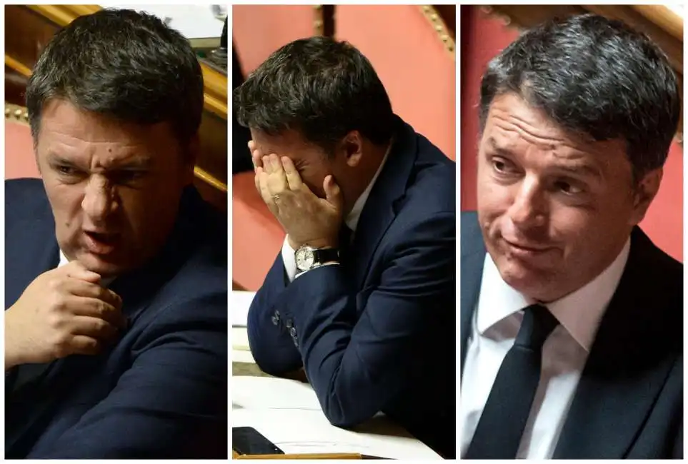 matteo renzi senato 