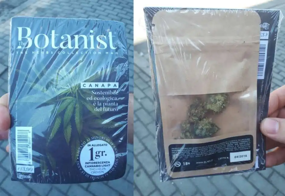 the botanist cannabis