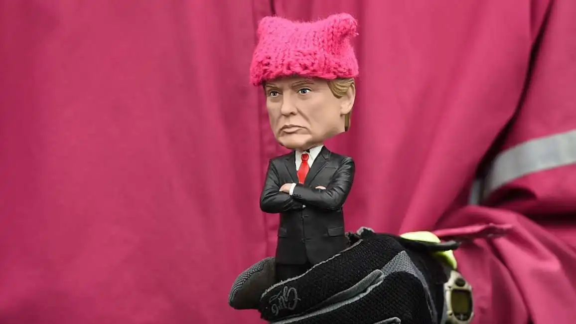 trump pussy hat