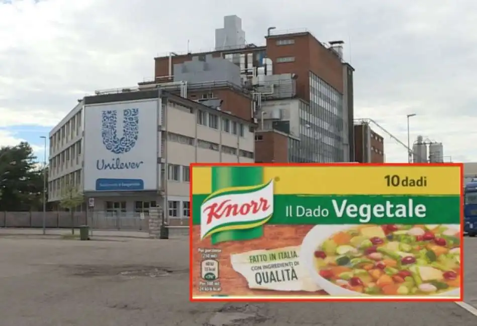 unilever knorr