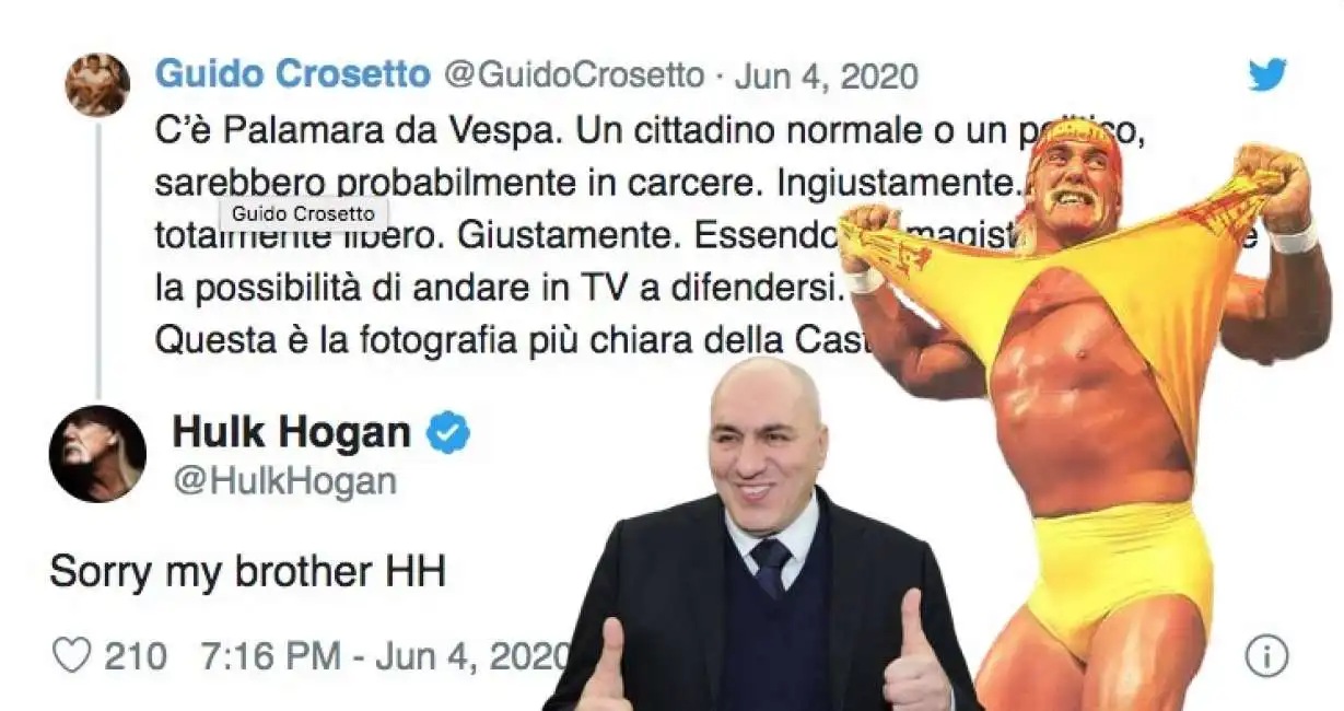 guido crosetto hulk hogan