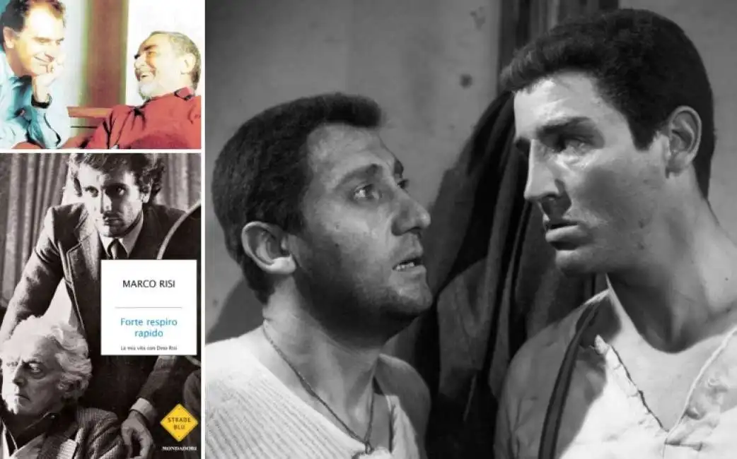 marco dino risi vittorio gassman alberto sordi