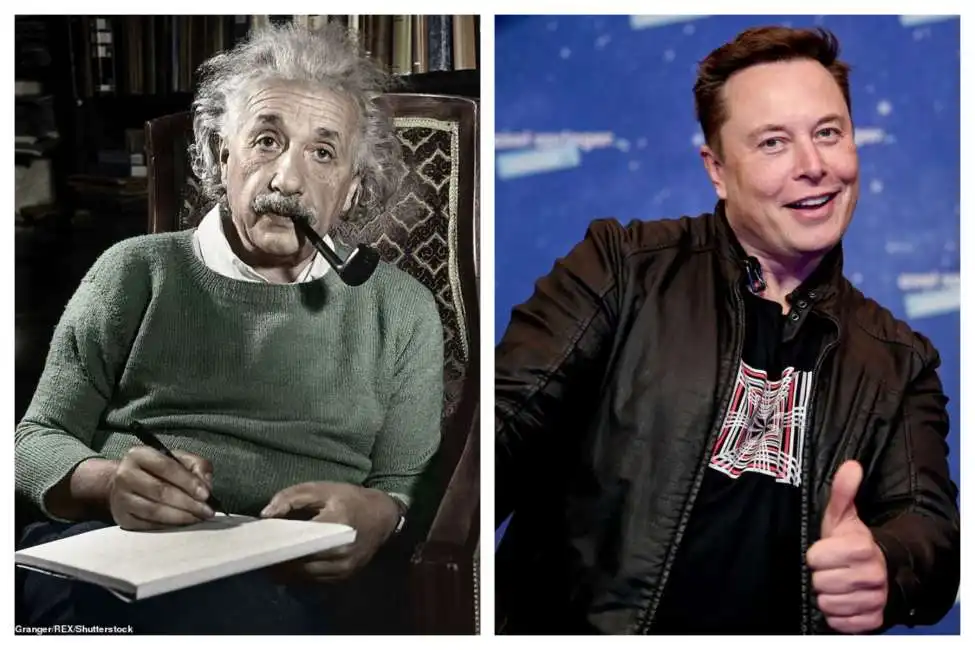 einstein musk