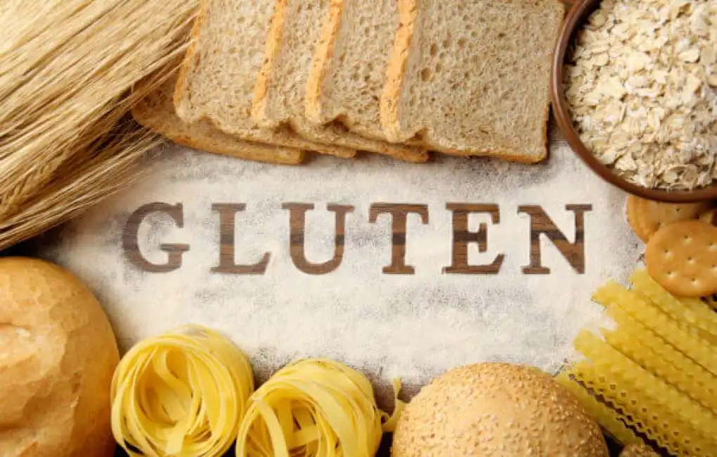 gluten