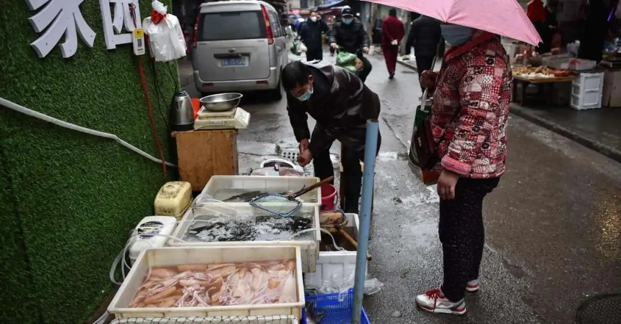 mercato del pesce di wuhan