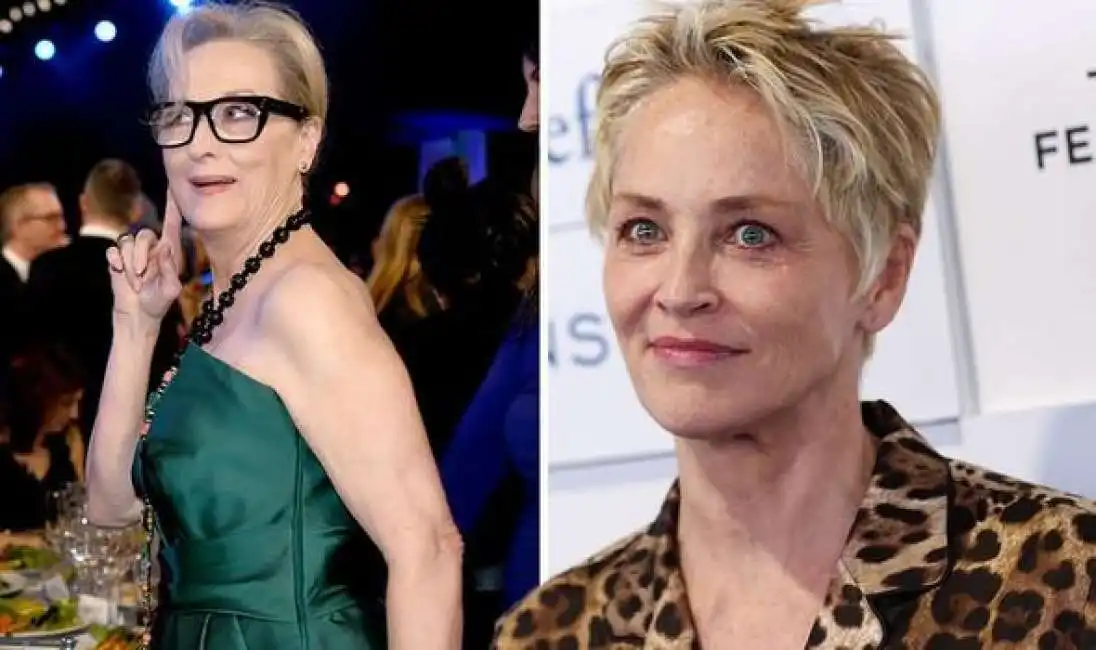 sharon stone e meryl streep