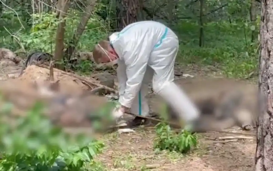 cadaveri nel bosco di merozke in ucraina