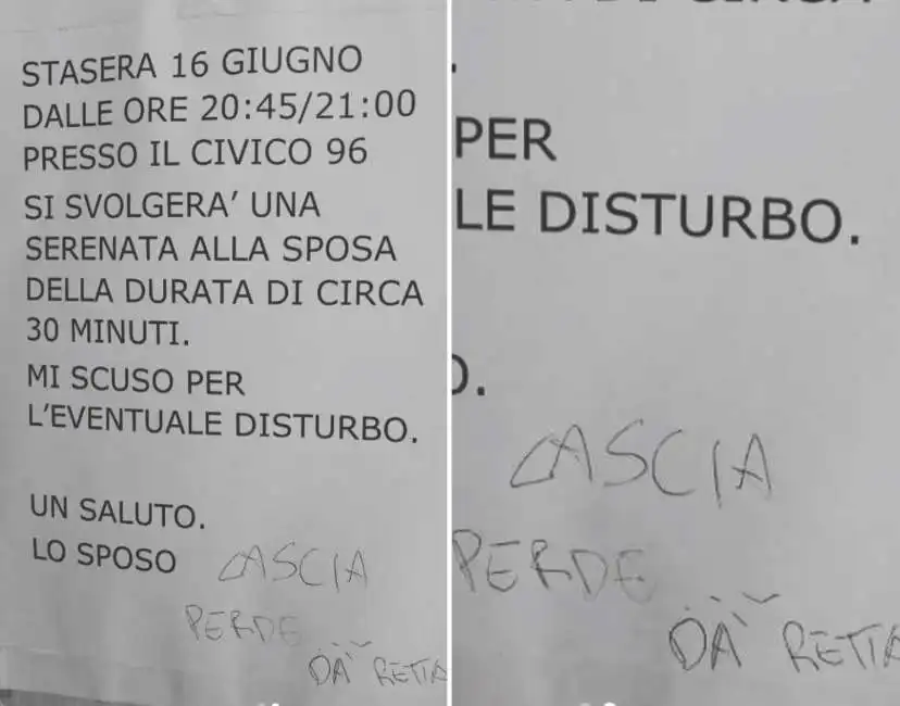 cartello sposo matrimonio lassa perde