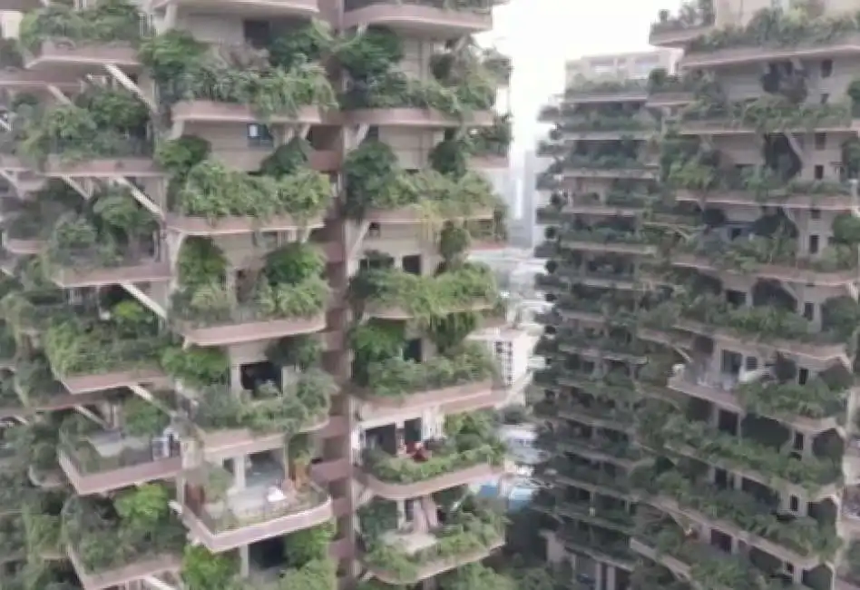 bosco verticale cinese