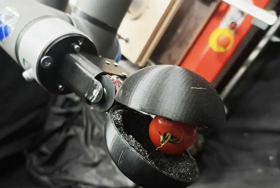 chatgpt - robot per raccogliere i pomodori