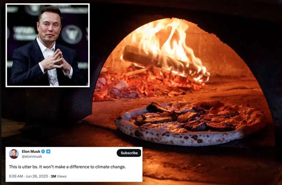 elon musk pizza forno a legna new york