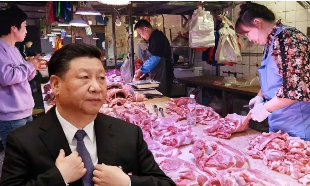 xi jinping carne maiale dazi