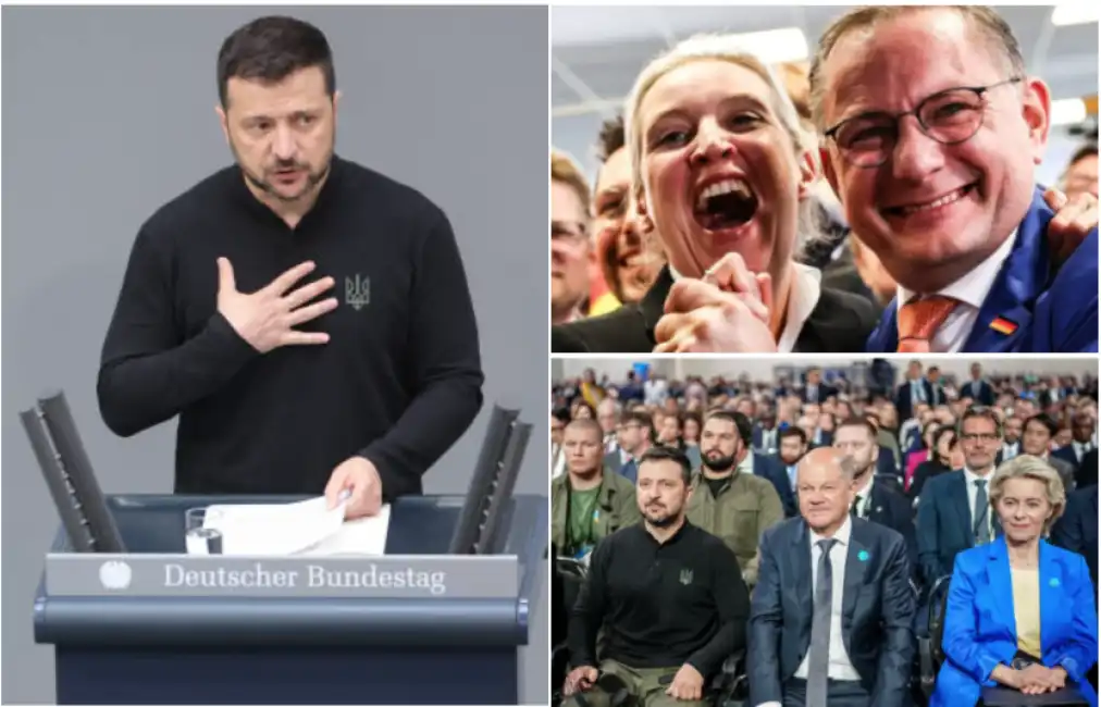 zelensky afd