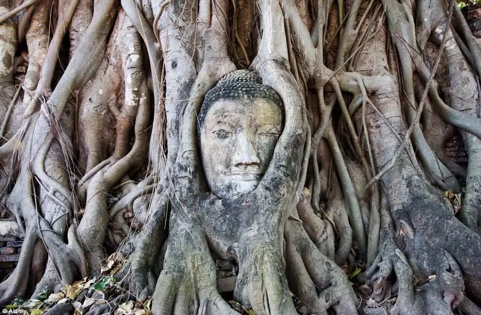 ayutthaya - luogi abbandonati