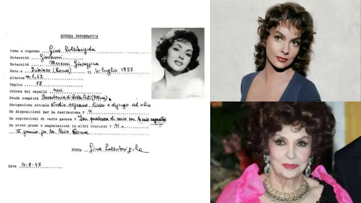 big scheda gina lollobrigida miss italia