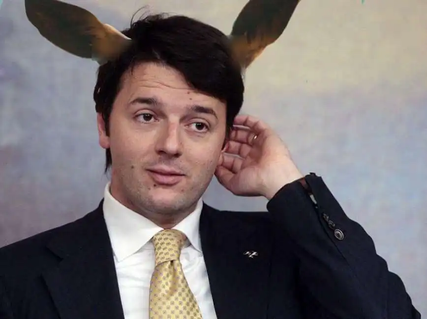 matteo renzi asino