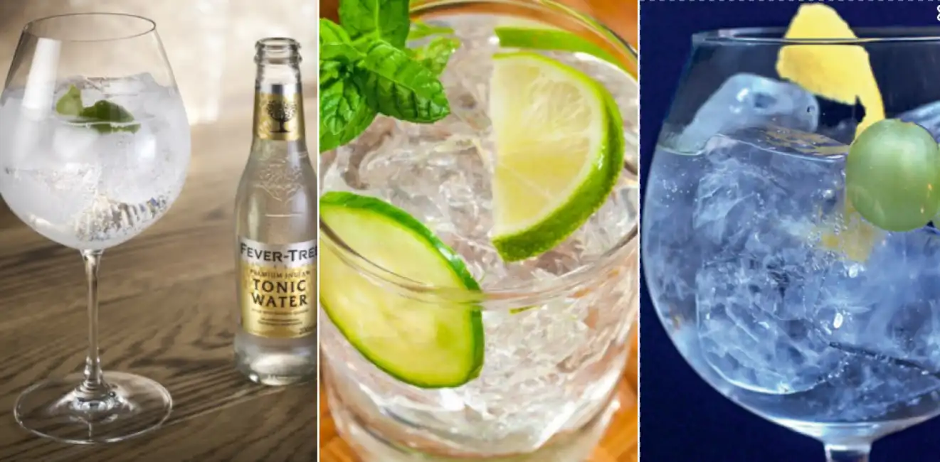 gin tonic