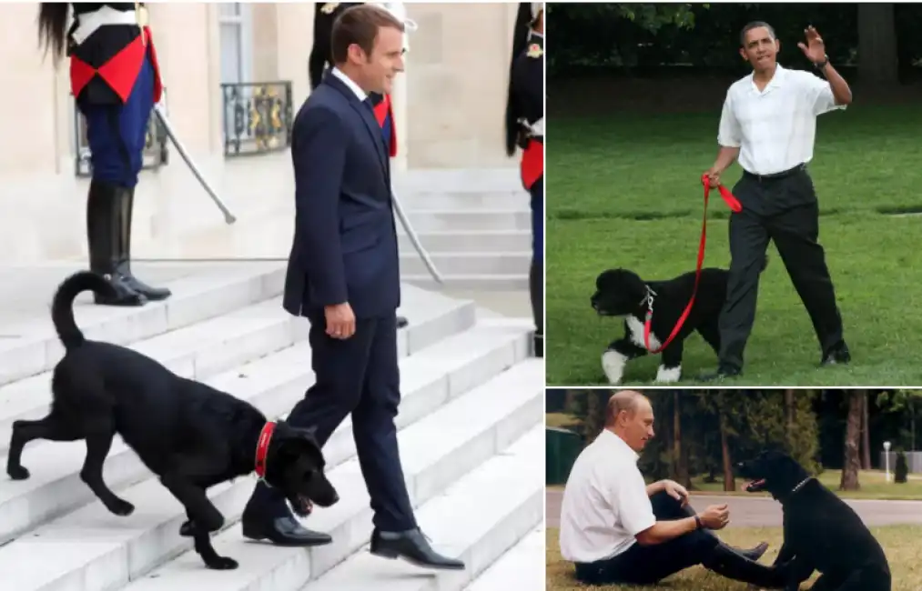 macron obama putin cani