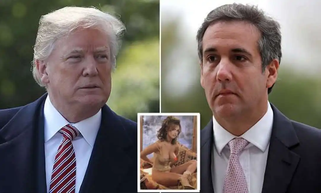 trump cohen mcdougal