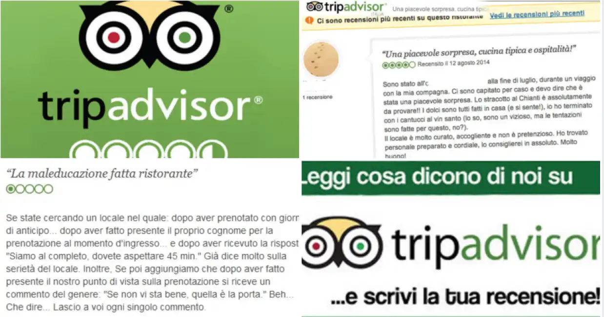 tripadvisor