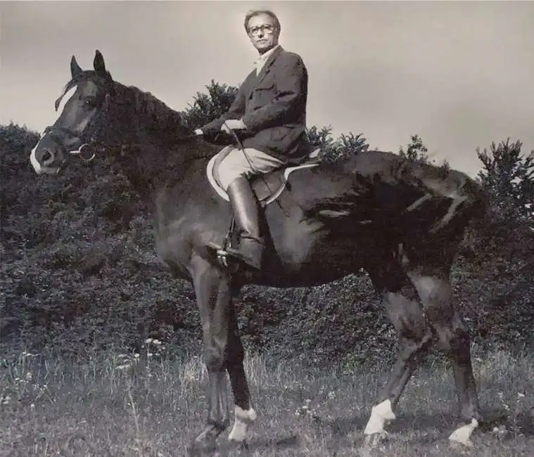 vittorio feltri cavallo crocus