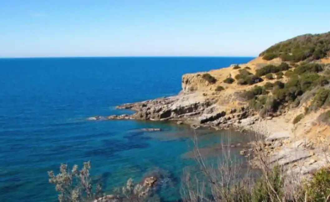 baratti