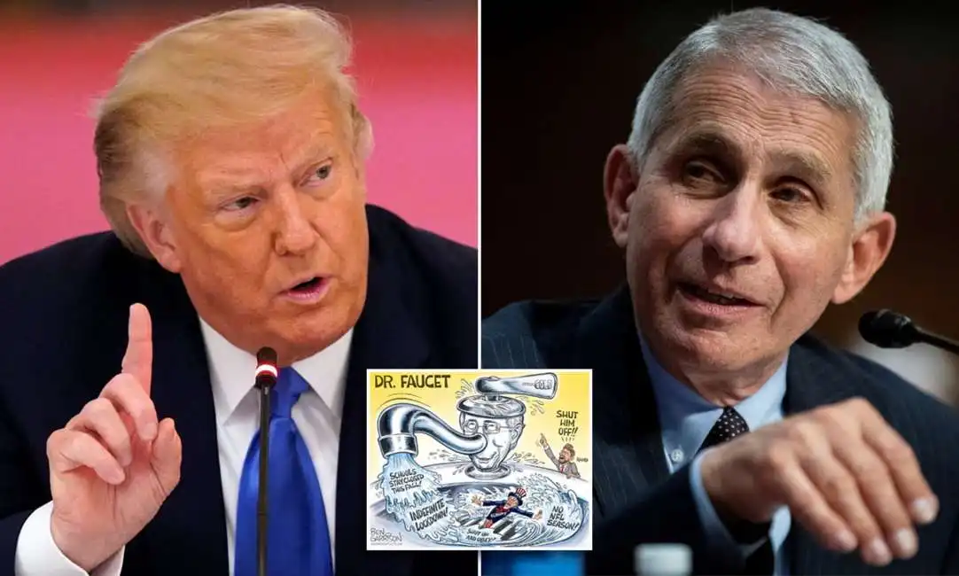 donald trump anthony fauci