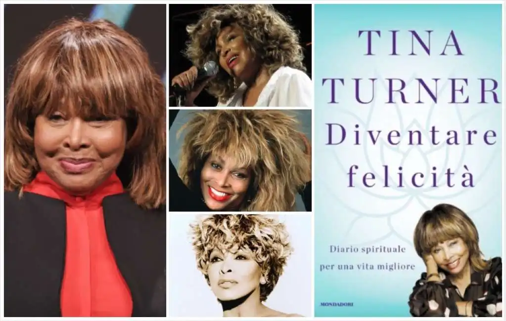 tina turner libro