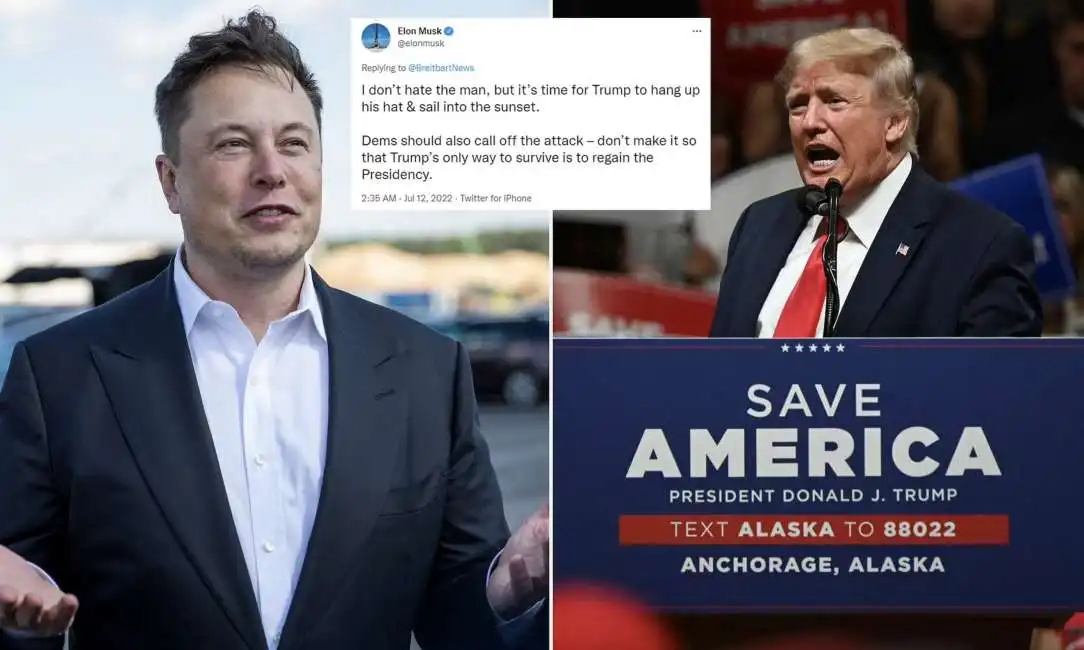 elon musk donald trump 