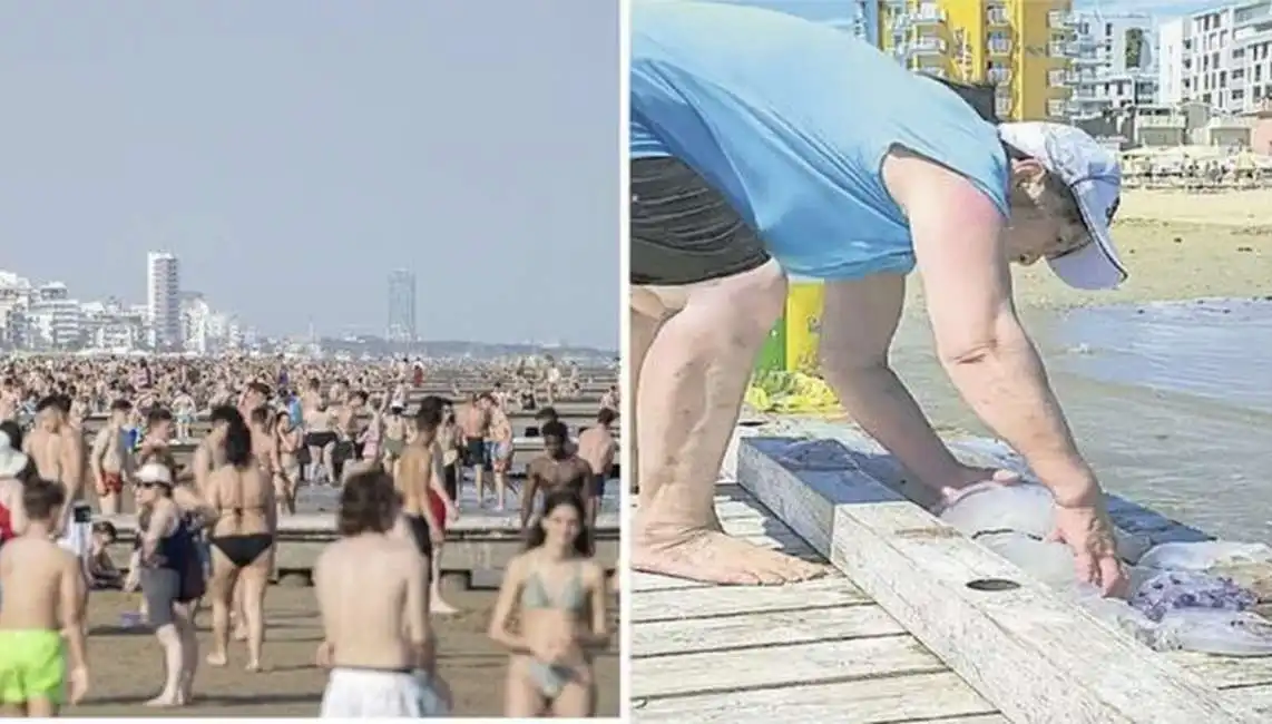 raccolta meduse in spiaggia a jesolo 