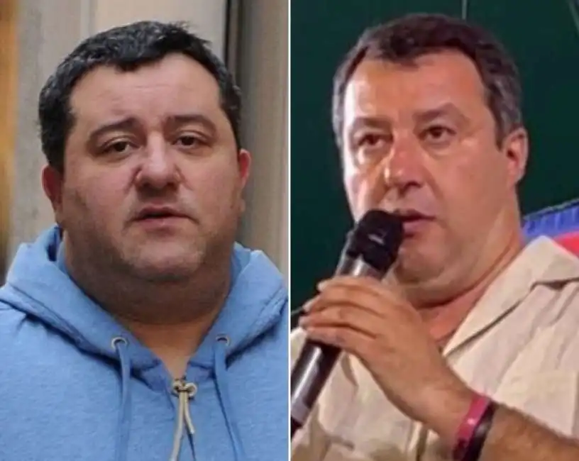 raiola salvini